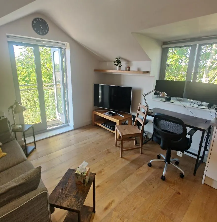 Light Modern 1 Bedroom Apartment Cambridge